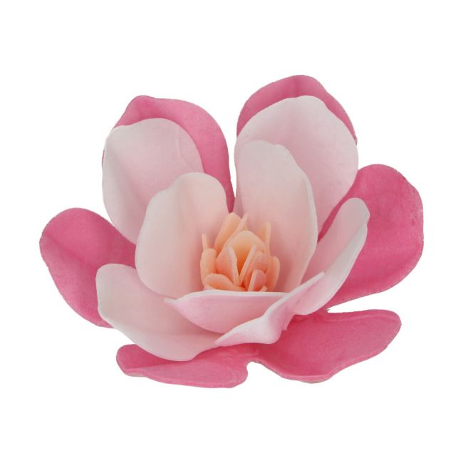 FunCakes Esspapier Blume Magnolie Rosa 6 Stk.