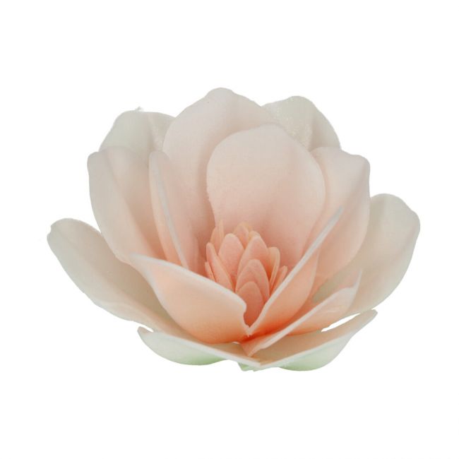 FunCakes Esspapier Blume Magnolie Weiß 6 Stk.