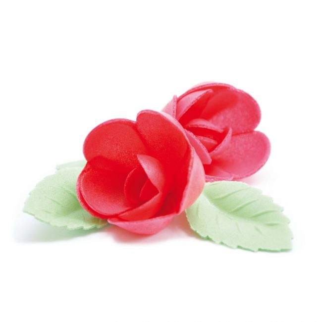 Rosen aus esspapier Rot 5Stk. ScapCooking