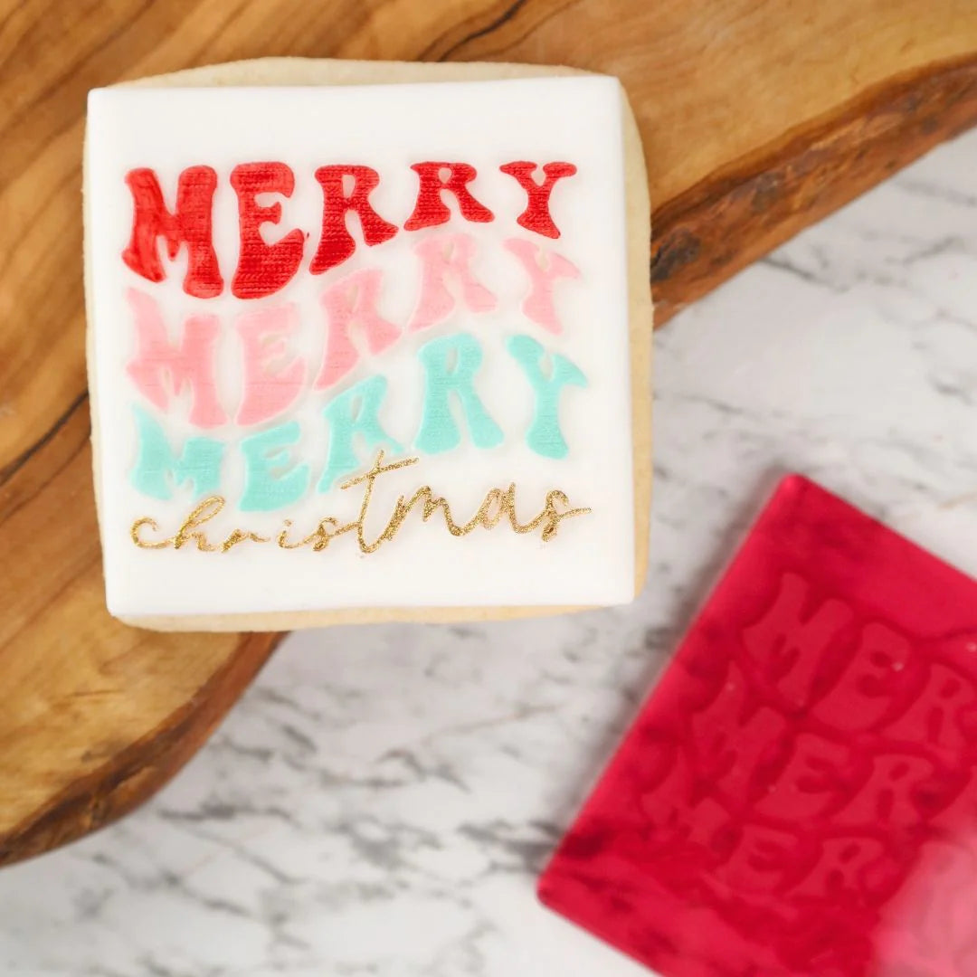 Sweet Stamp Outboss Merry Merry Merry Christmas - Amy Jane Collection